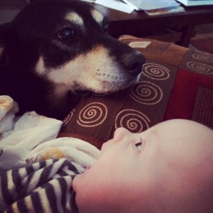 01c086e9fa900c7467f3091c2d2abc459bfa782373